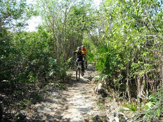 Cenote Chaak Tun